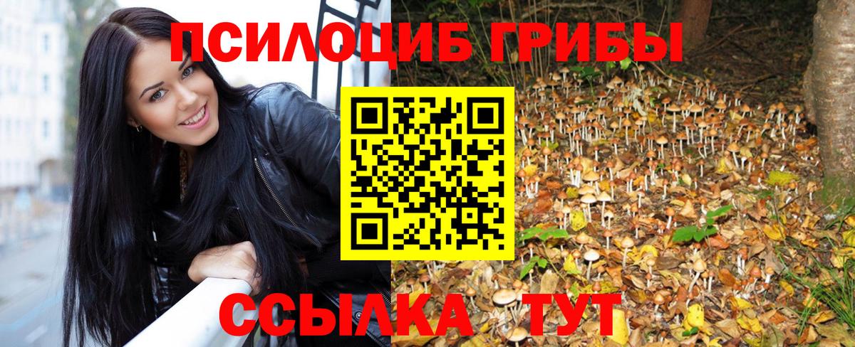Острогожск  Псилоцибиновые грибы Psilocybe  Псилоцибиновые грибы Psilocybe  Вход с VPN 
