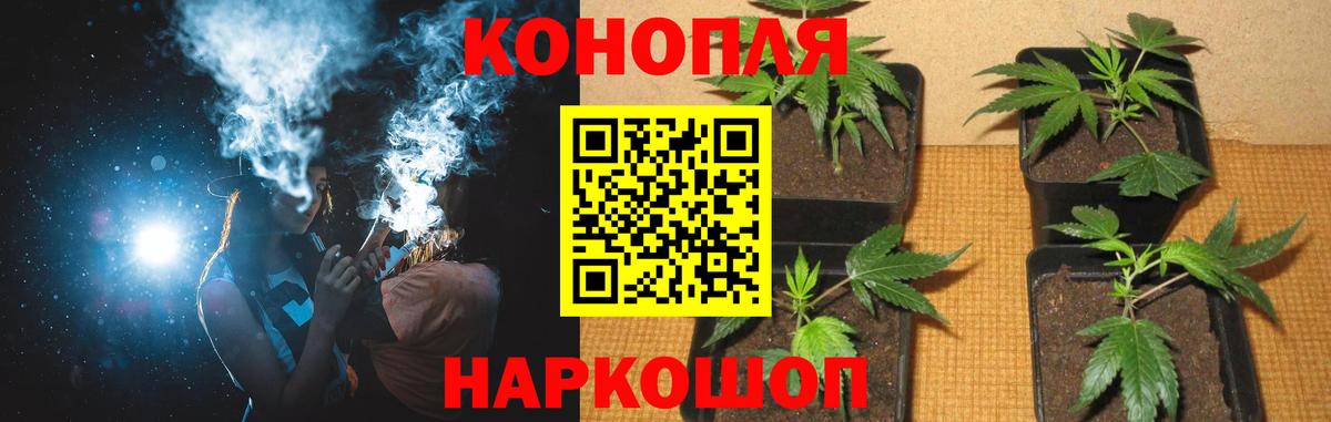 Бошки марихуана Ganja Острогожск